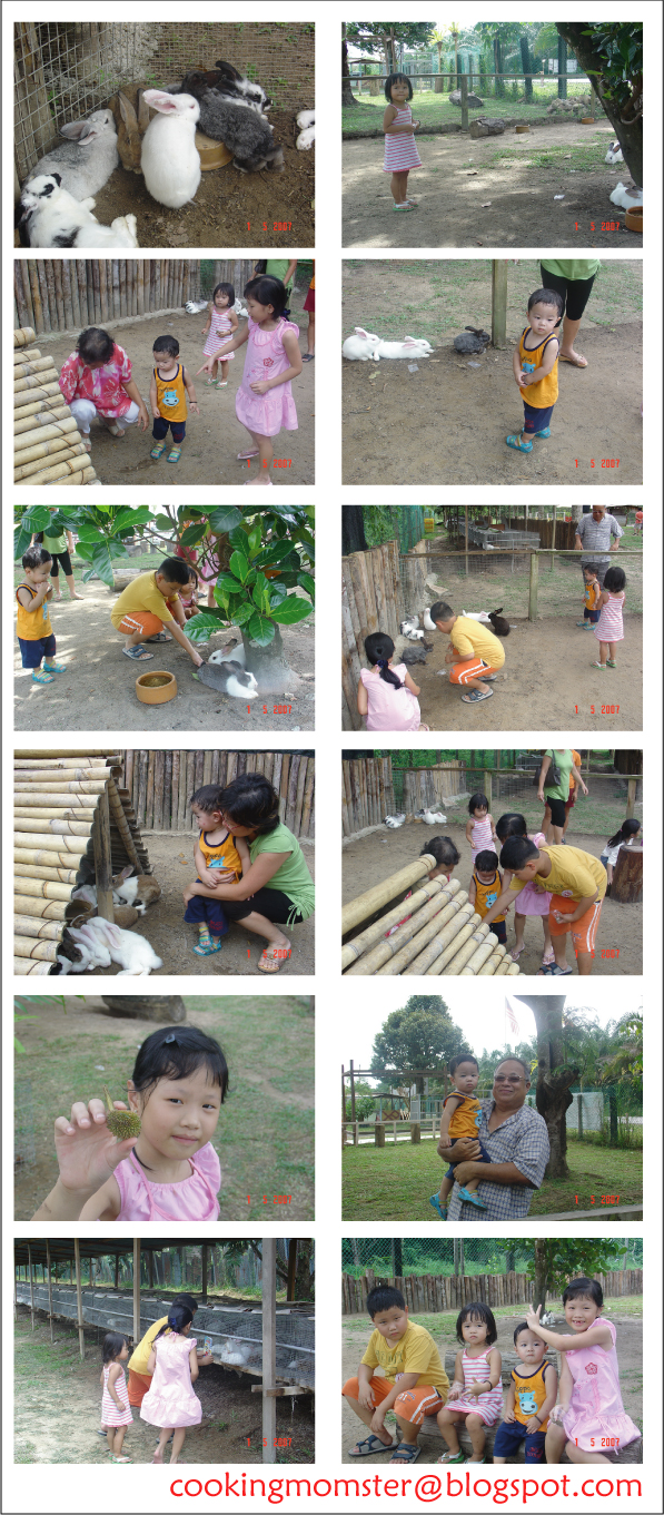 [Rabbit-Farm-1.jpg]