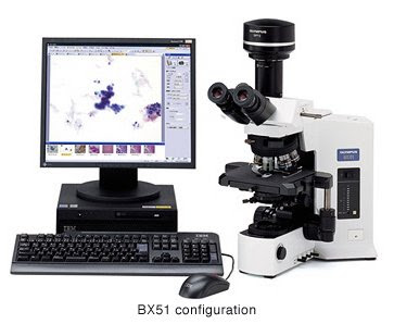 Digital compound microscope