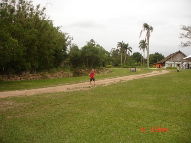 [DSC00064.JPG]