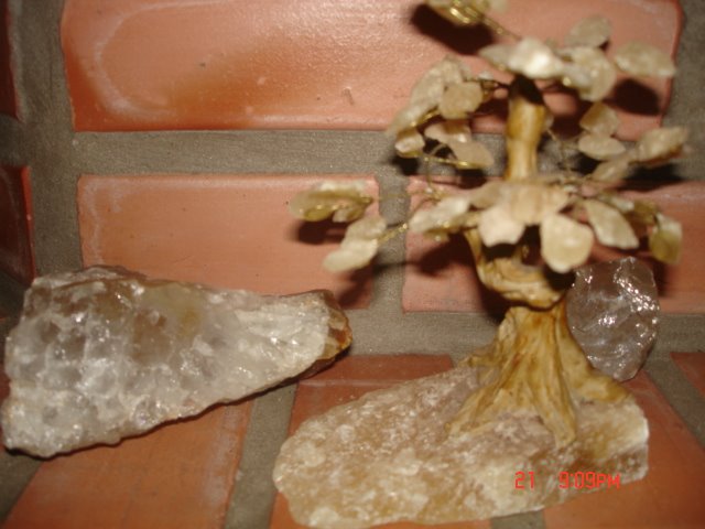 [DSC00021.JPG]