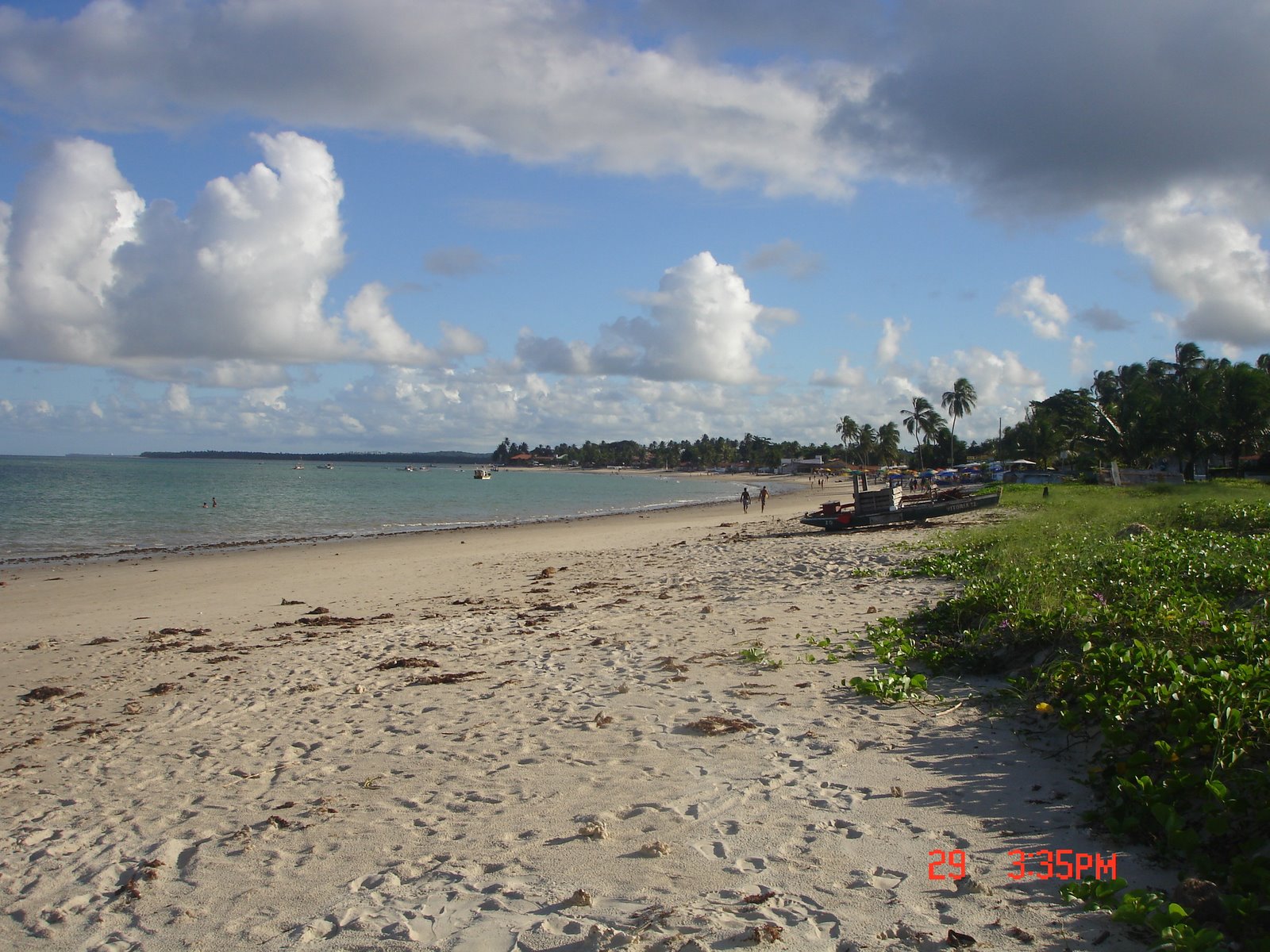 [DSC00187.JPG]