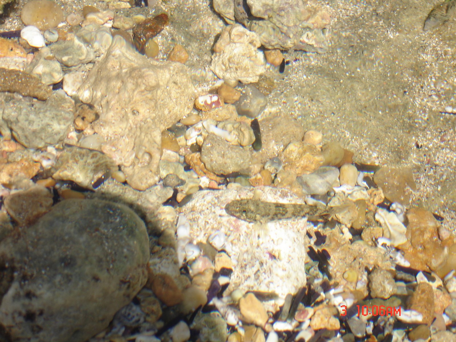 [DSC00051.JPG]