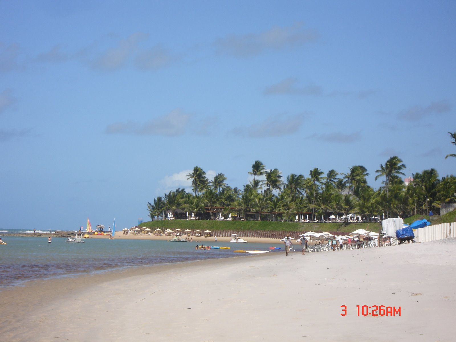 [DSC00084.JPG]