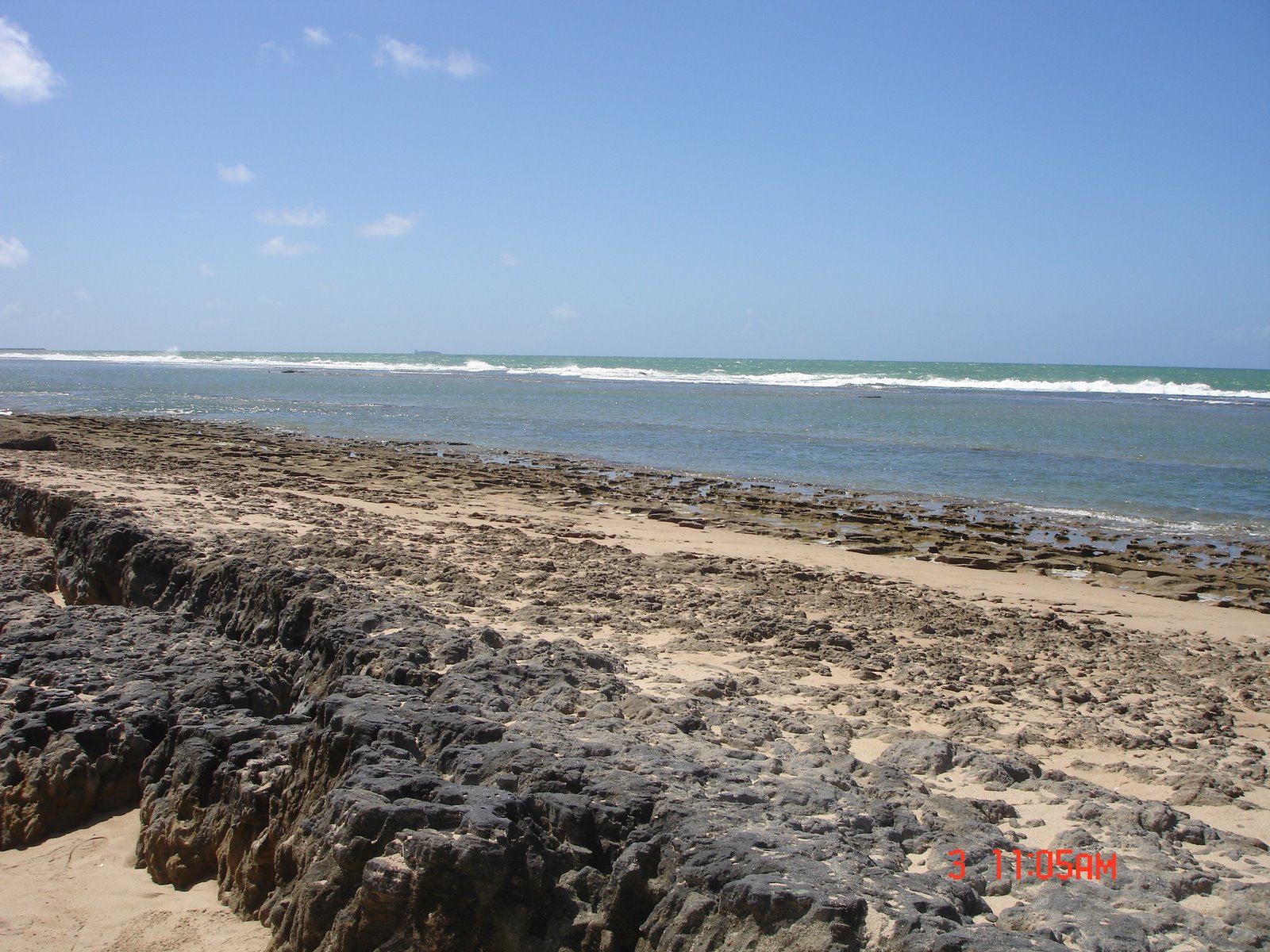 [DSC00184.JPG]