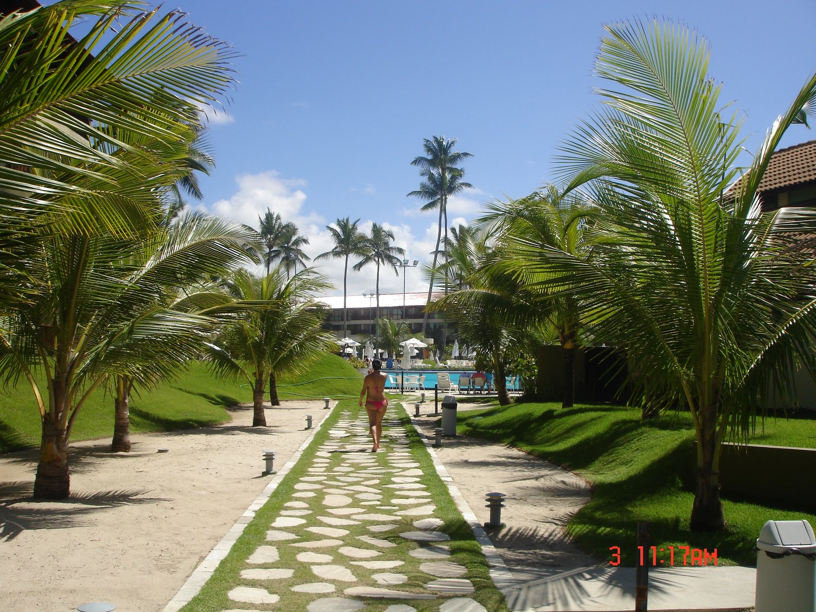 [DSC00236.JPG]