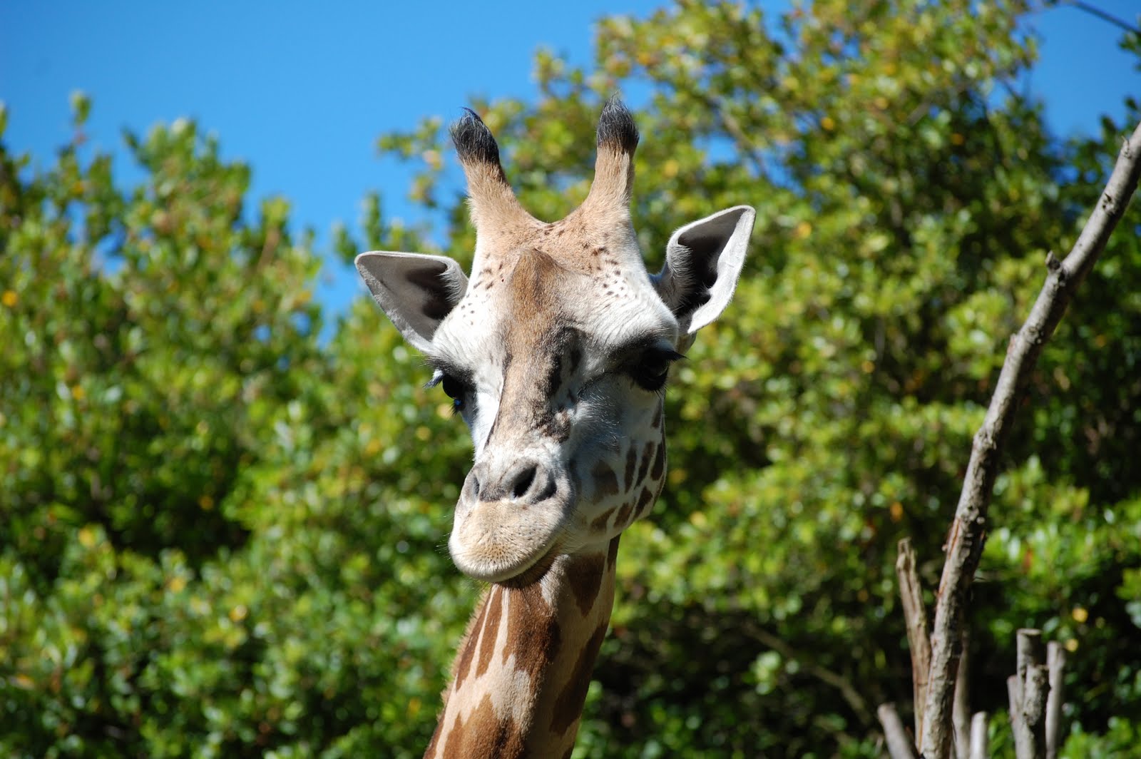 Zoo Park