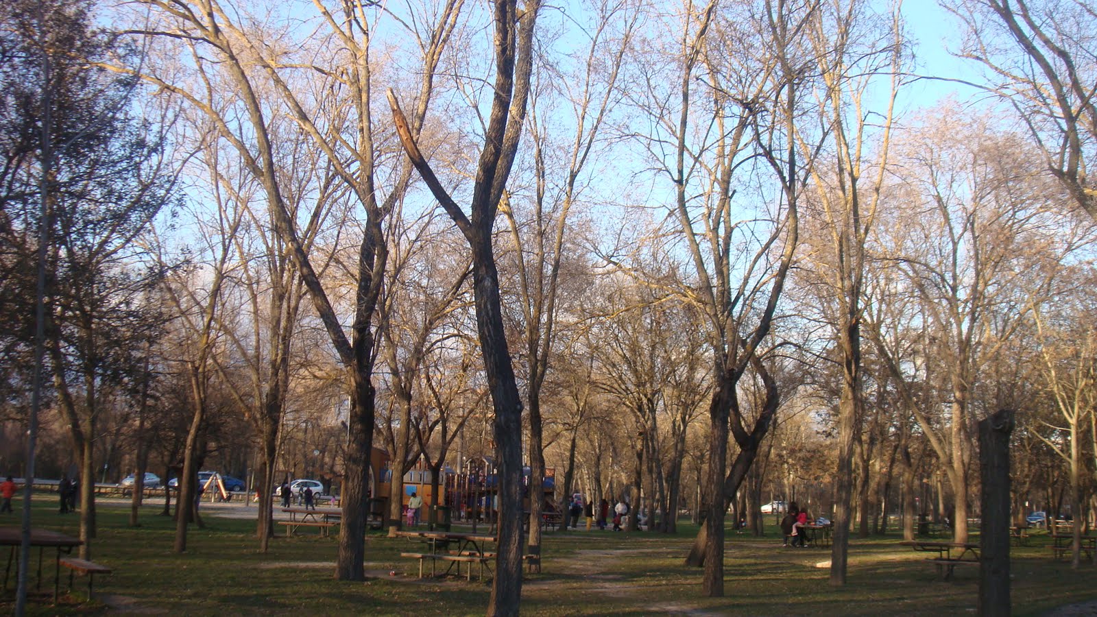 [DSC09965.JPG]