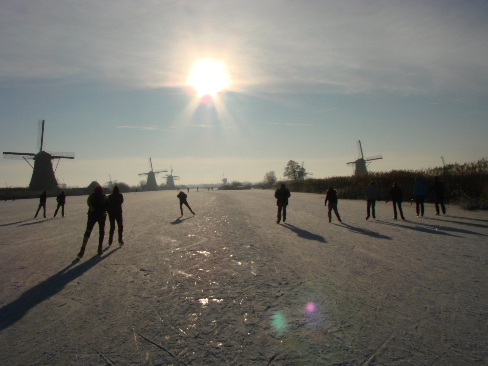 [DSC07981.JPG]