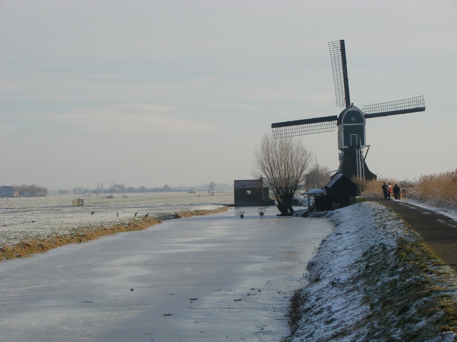 [DSC08037.JPG]