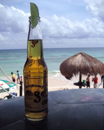 corona beer fridge for sale