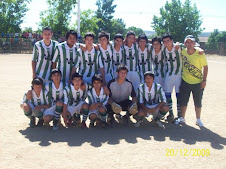 SERIE A CAMPEON 2009