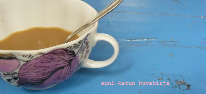 anni-ketun kuvakirja