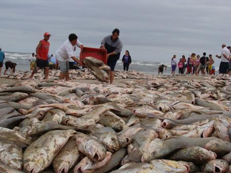 [peixes.jpg]