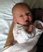 Elan Isabella Bonham