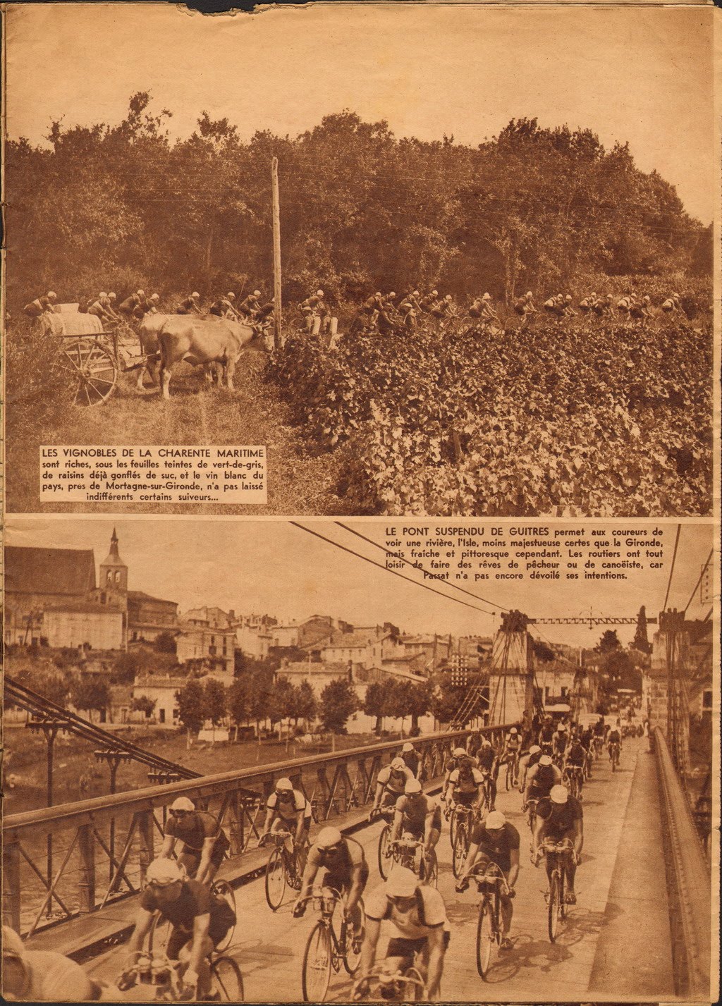 Cycling Passions 33rd Tour de France 1939