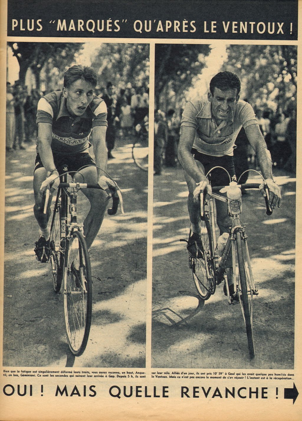 Cycling Passions 45th Tour de France 1958