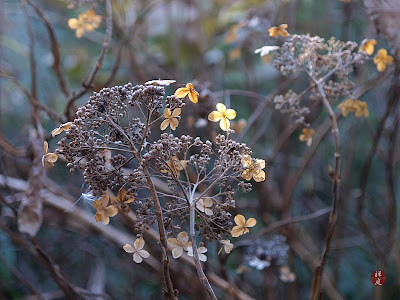 Liz S Creative Corner Foamiran Hydrangea Styled Flowers On A