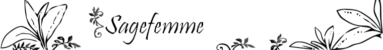 [Sage2Vect2More.PNG]