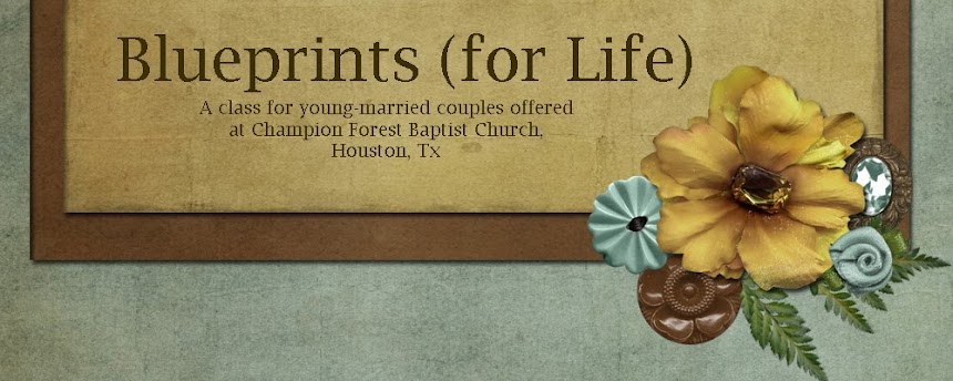 Blueprints (for Life)
