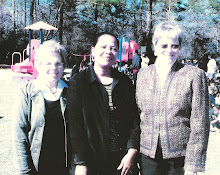 Hillsdale Elementary School Playground