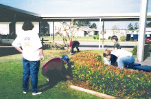 Interact Club Beautification Project