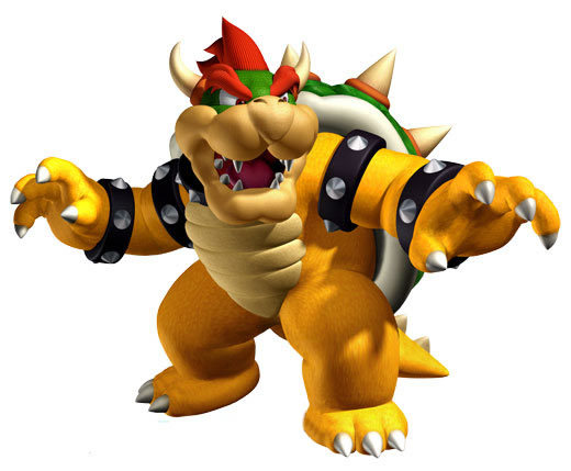 Koopa Vs Bowser