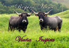 RESPIRA VIAÑA