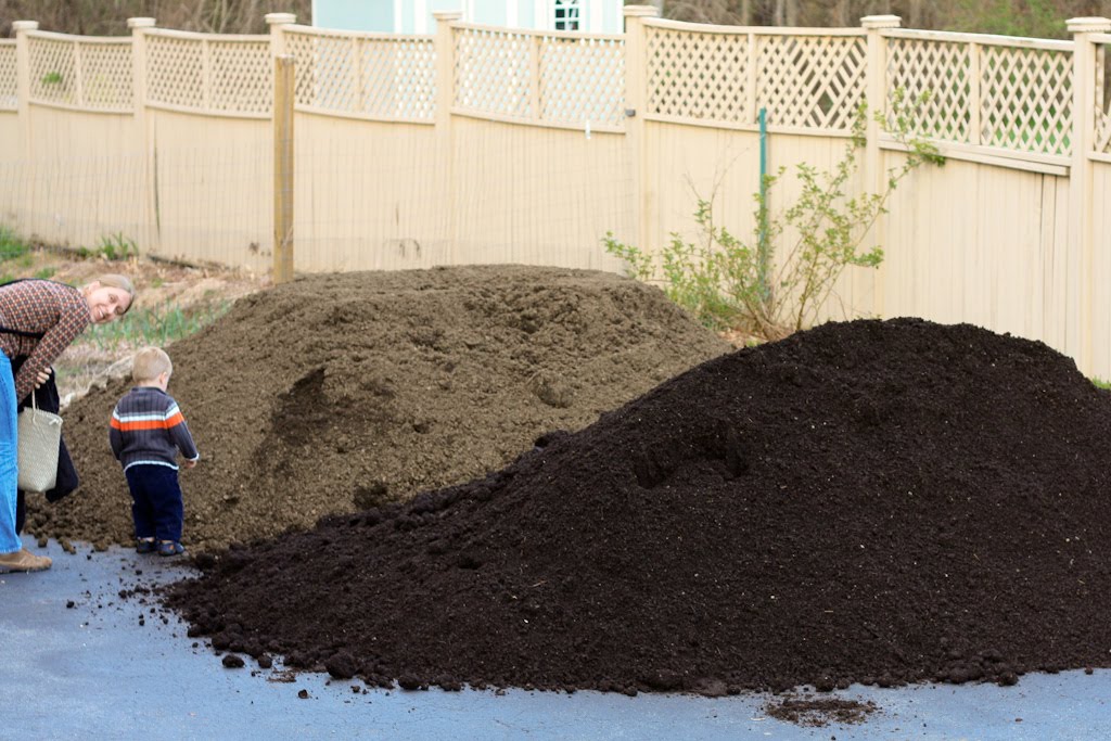 The Clueless Gardeners A Garden Blog Happy Dirt Day