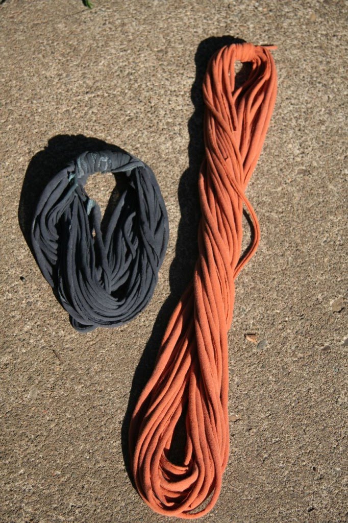 [samarretes_collar4.jpg]