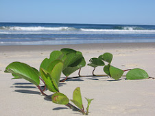 On the Beach