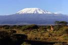 Kilimanjaro David Hurst