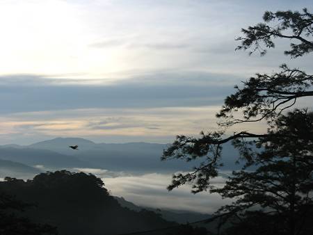 foggy morning in Baguio City