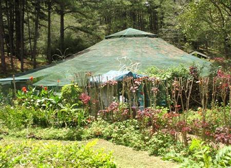 butterfly farm in Camp John Hay