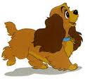 La somiglianza del cavalier con la Lilly di Walt Disney