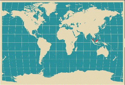world map vector image. world map vector. world map