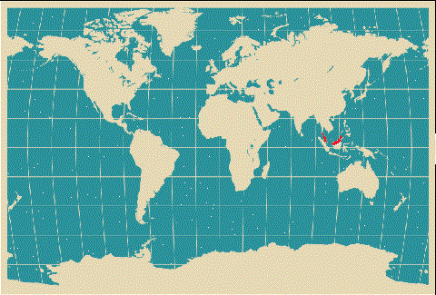 world map vector. world map world map vector image. world map vector. world map