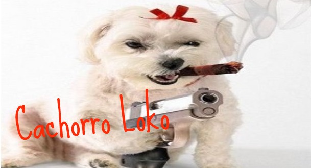 Cachorro Loko