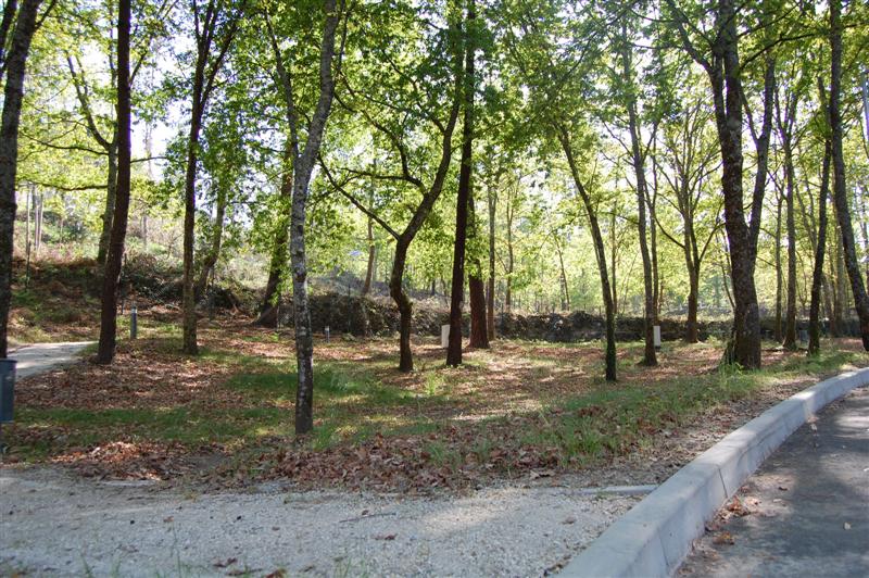 [DSC_0105+(Medium).JPG]