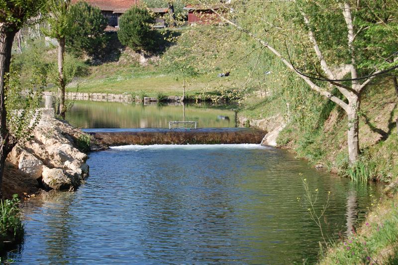 [DSC_0250+(Medium).JPG]