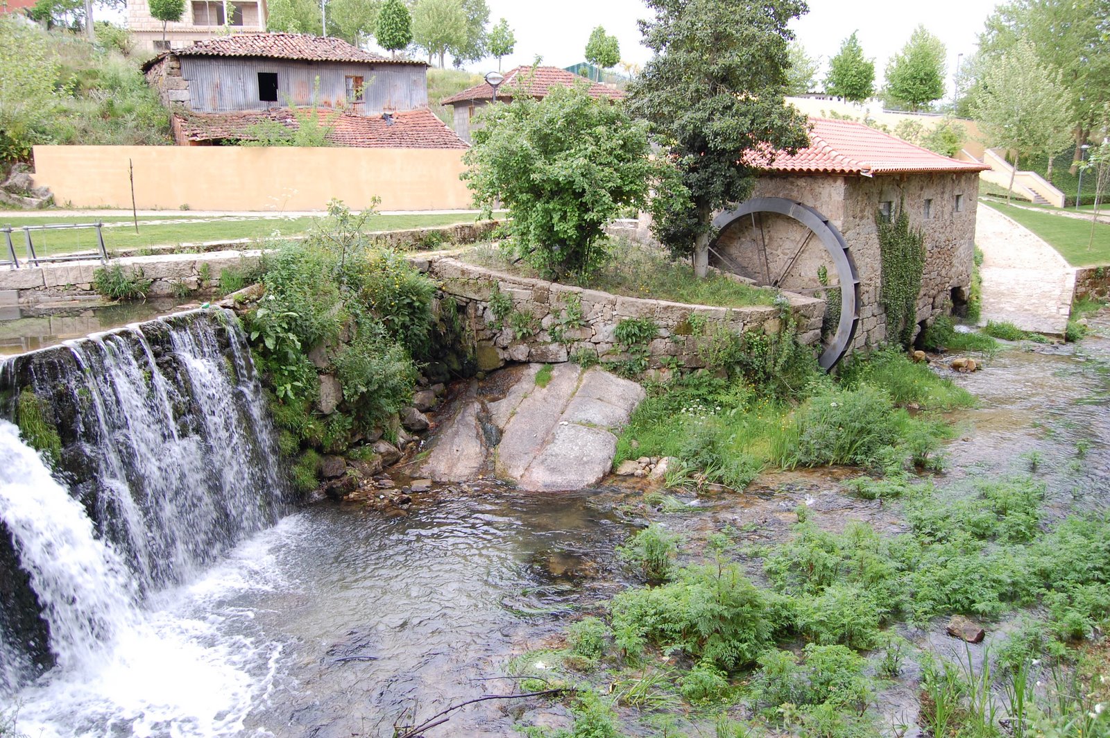 [parque+1.JPG]