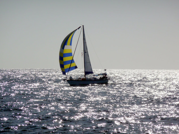 Under Spinnaker off Cedros