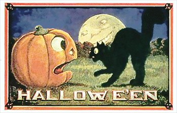 [halloween-cat.jpg]