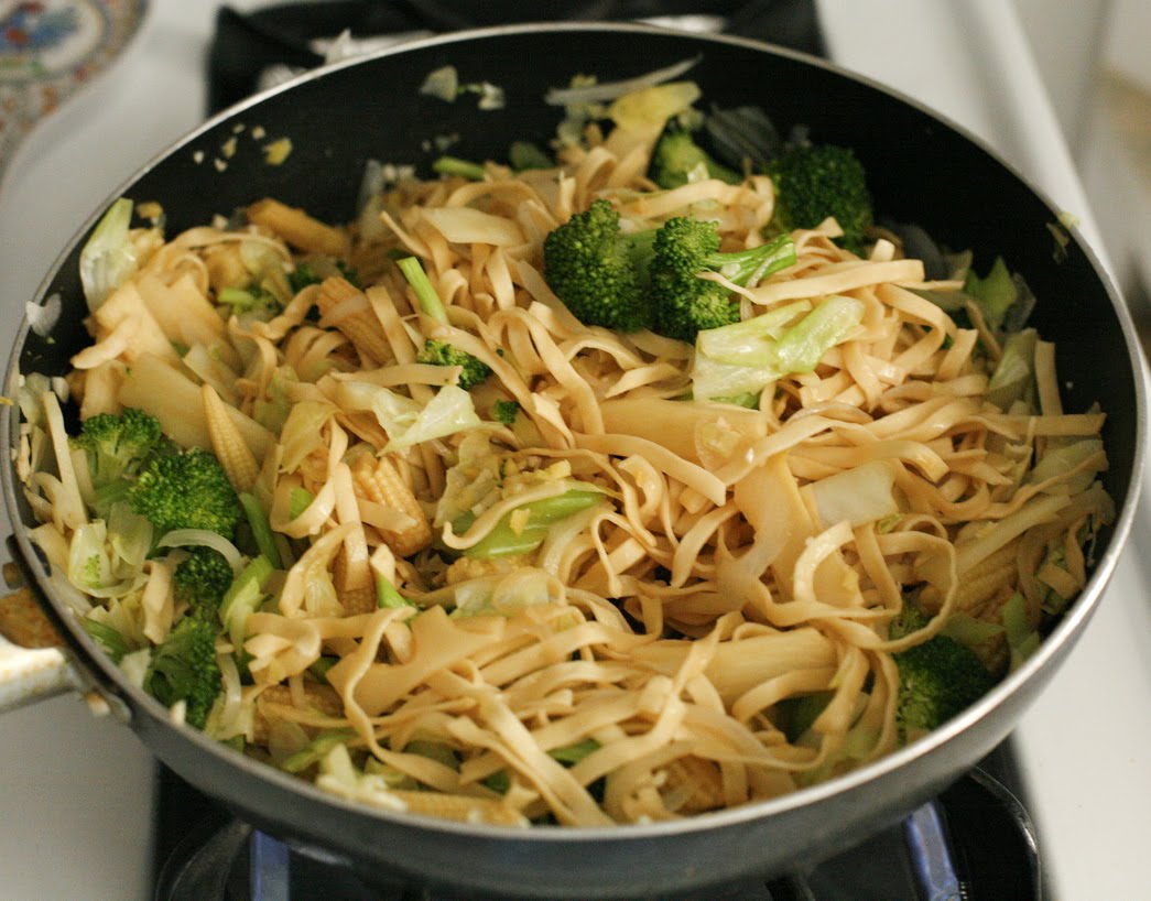 go vegan meow! Chow Mein and Fried Rice