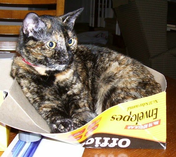 [matilda+in+envelope+box.jpg]