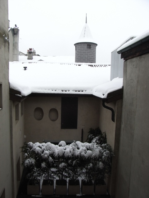 [R0013676.JPG]