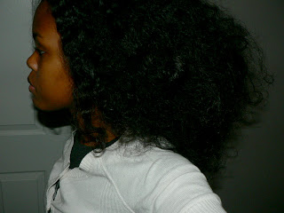 My Best Diana Ross Brushed Out Natural Hair Curlynikki