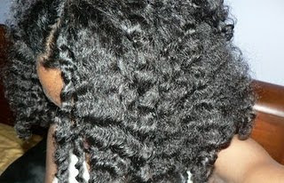 2010 Winter Hair Regimen Curlynikki Natural Hair Care