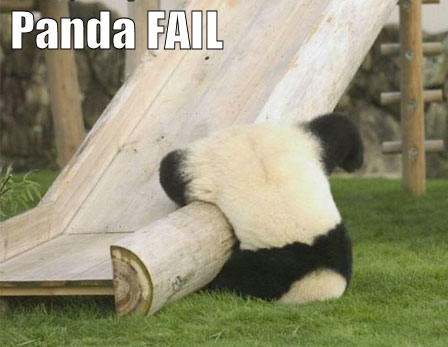 [panda+fail.jpg]