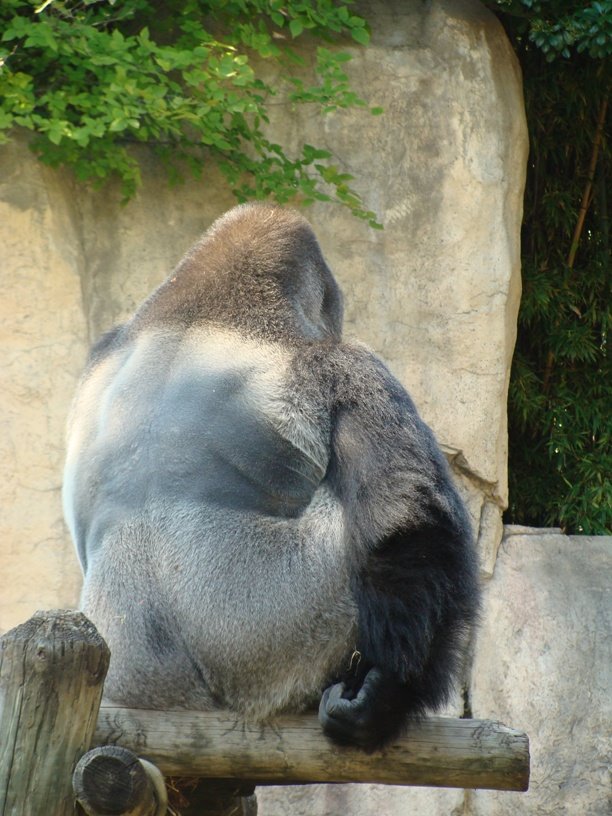 [Zoo+028.JPG]