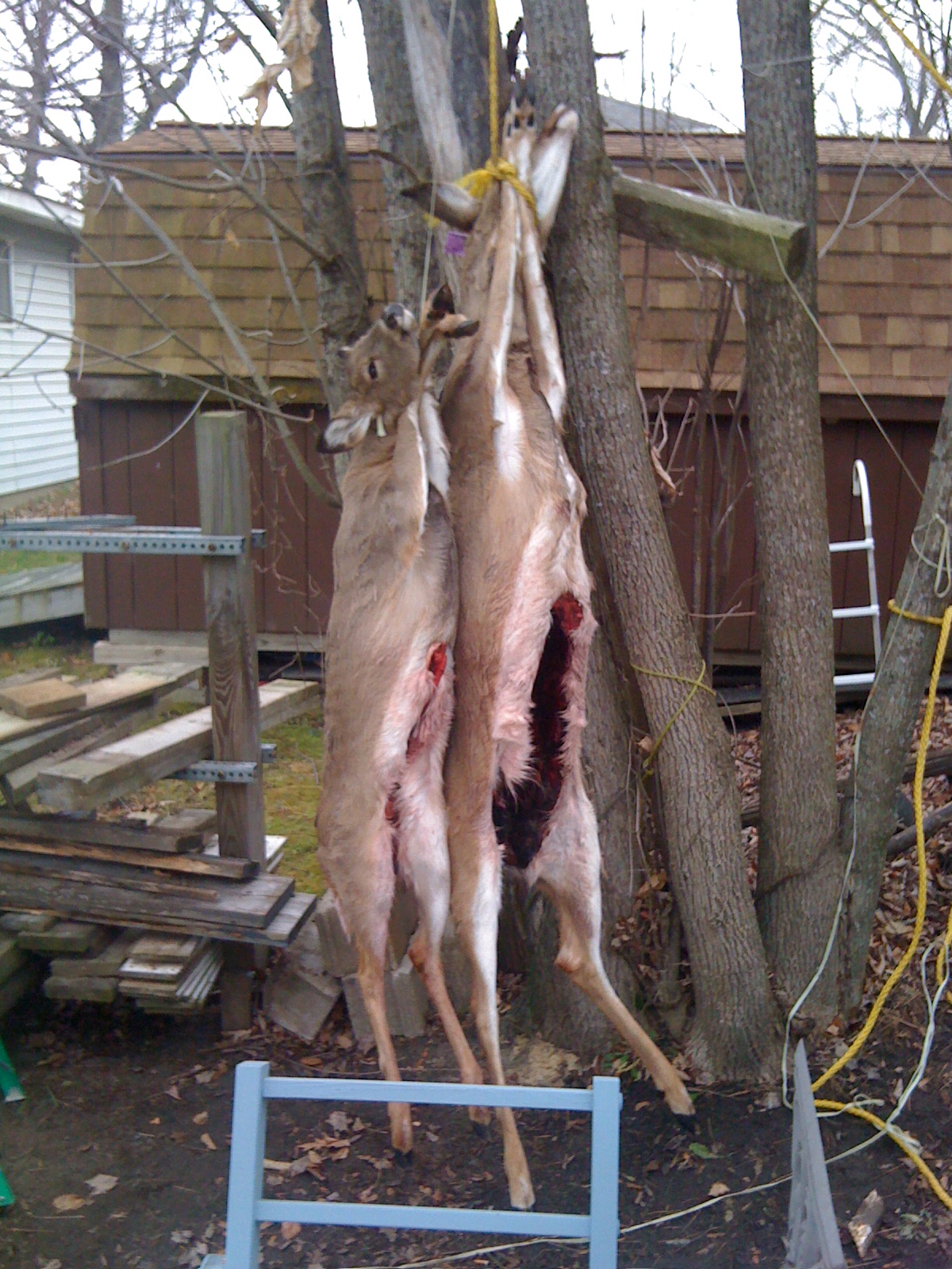 deer hunting hanging camp way abide word
